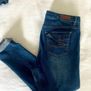 Chip & Pepper Denim Skinny Jeans in Size 32